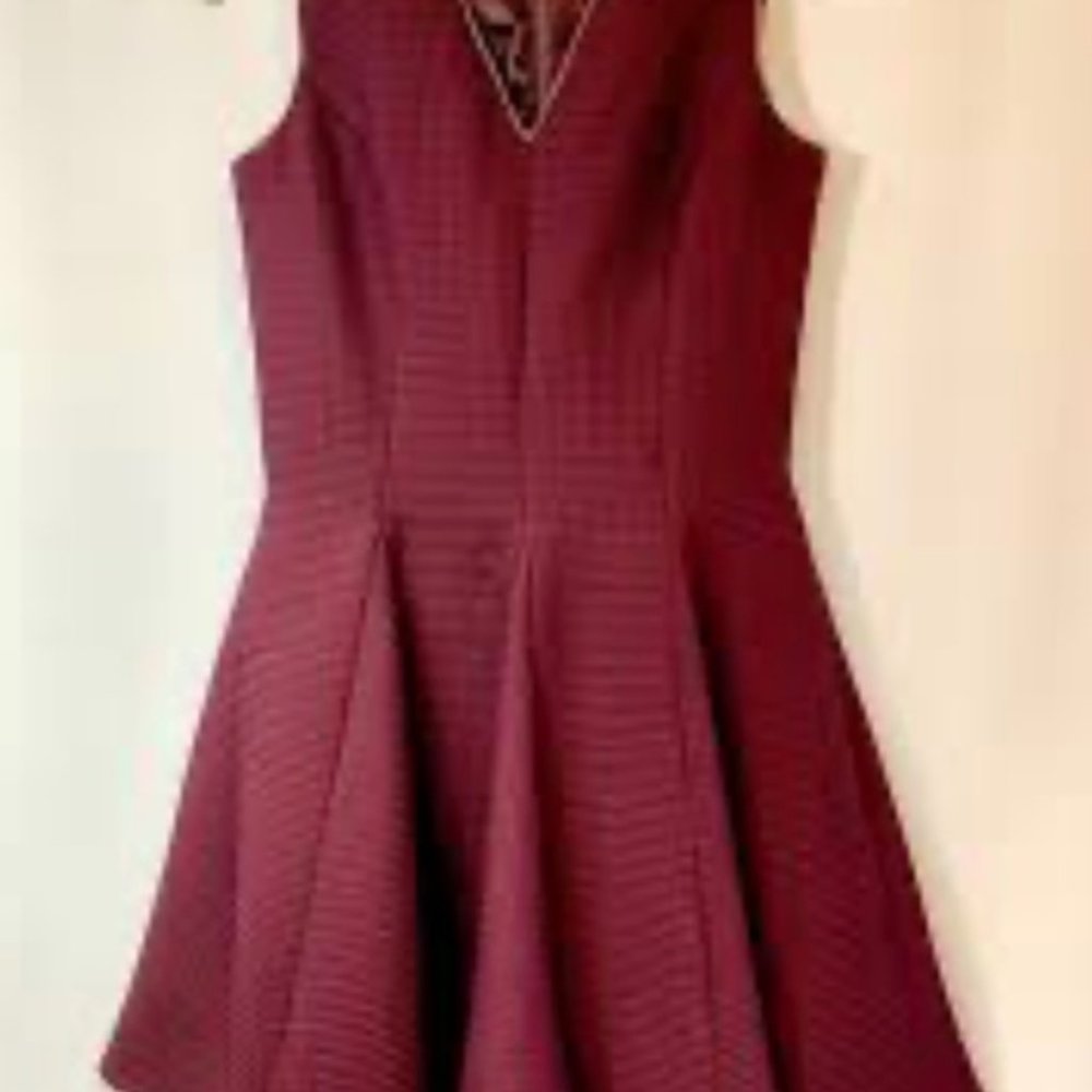 INA BURGUNDY FLATTERING A LINE DRESS